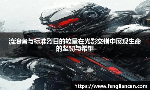 流浪者与标准烈日的较量在光影交错中展现生命的坚韧与希望